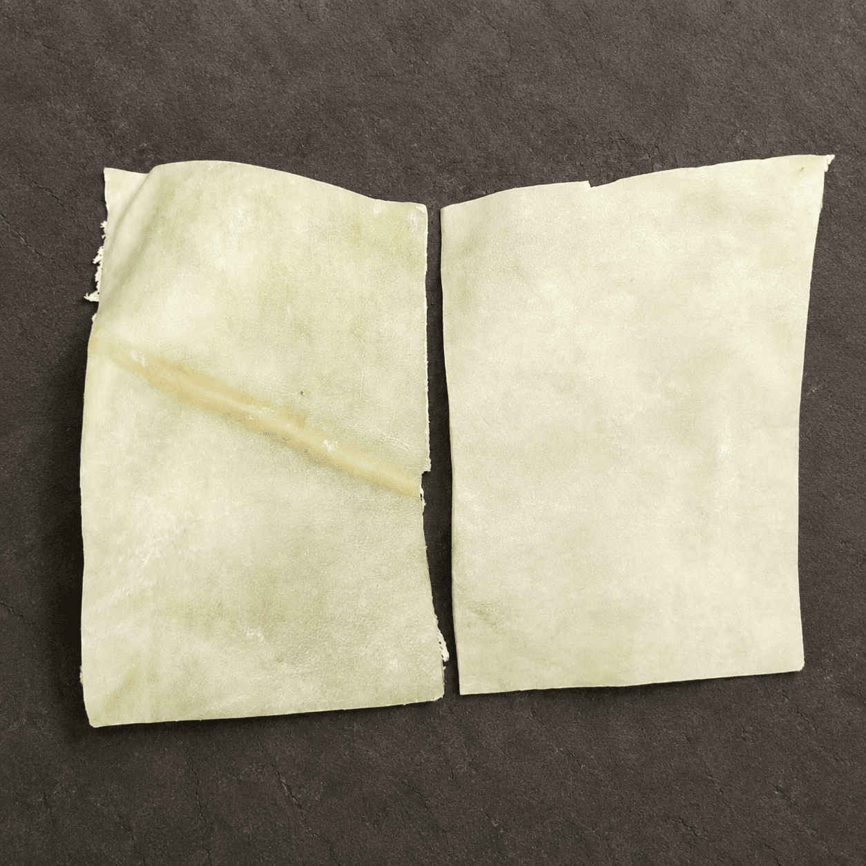 Representative processed bovine hide cuttings